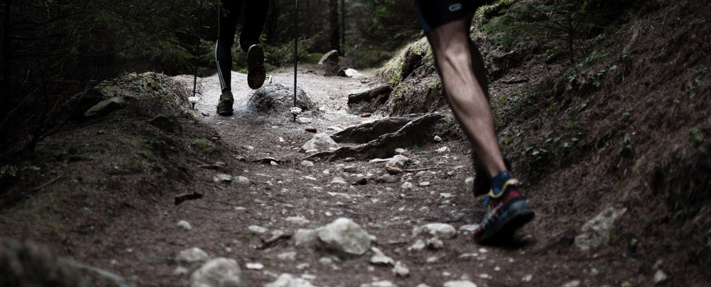 What is taurine and what are the benefits of taurine?